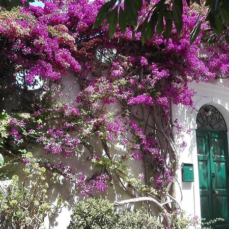 Il Gelso Lägenhet Anacapri  Exteriör bild
