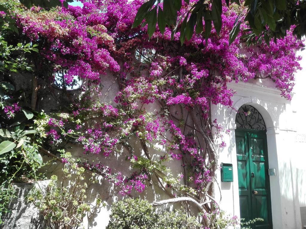 Il Gelso Lägenhet Anacapri  Exteriör bild